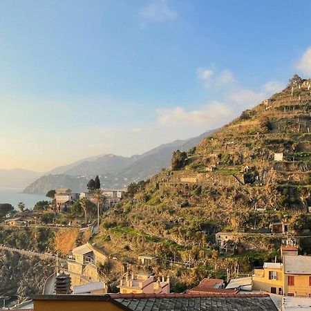 Casa Vacanze Da Paulin Manarola Dış mekan fotoğraf